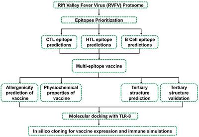 Proteome-Wide and Protein-Specific Multi-Epitope Vaccine Constructs Against the Rift Valley Fever Virus Outbreak Using Integrated Omics Approaches